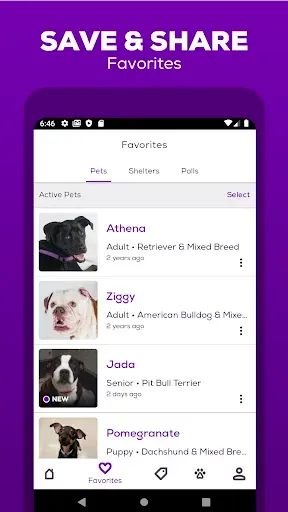 Скриншот 4 — Petfinder - Adopt a Pet