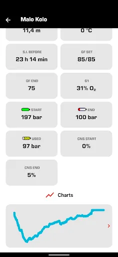 Скриншот 3 — SSI