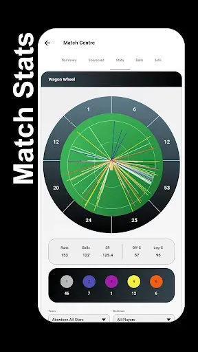 Скриншот 4 — STUMPS - The Cricket Scorer