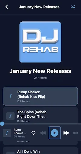 Скриншот 2 — DJ Rehab Music