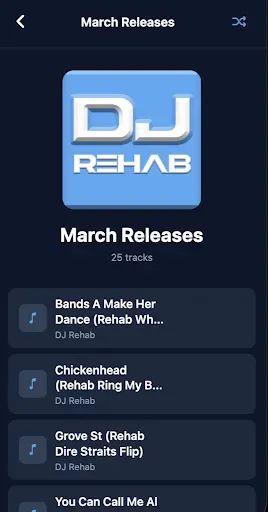 Скриншот 3 — DJ Rehab Music