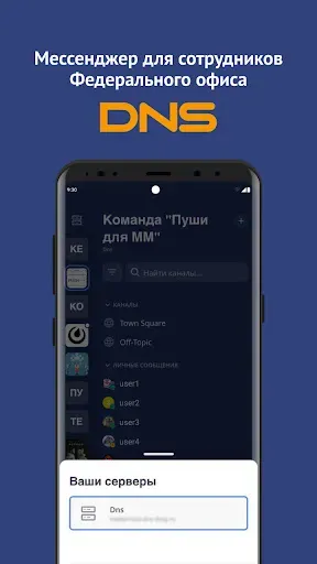 Скриншот 1 — DNS Most