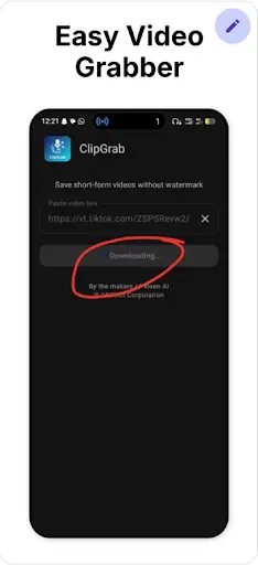 Скриншот 5 — ClipGrab: Скачать видео
