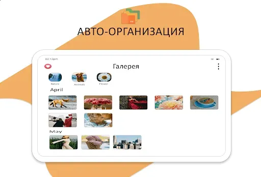 Скриншот 8 — Мои файлы