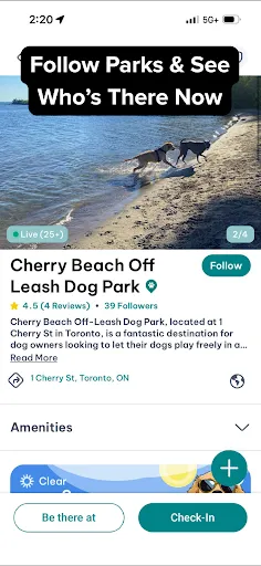 Скриншот 7 — DogPack: Dog Friendly Spots