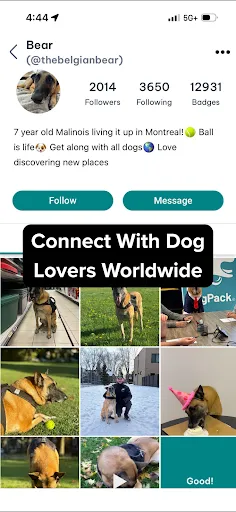 Скриншот 8 — DogPack: Dog Friendly Spots