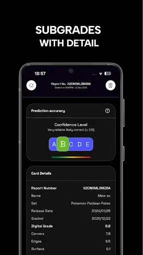 Скриншот 5 — Digital Grading Co