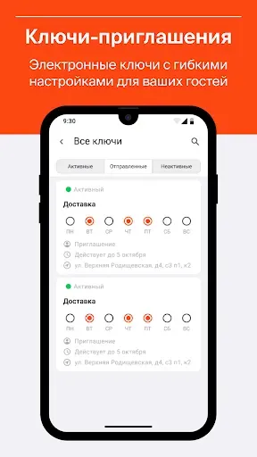 Скриншот 3 — Domonap