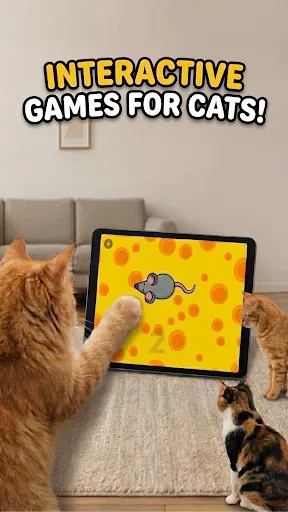 Скриншот 6 — Игры для кошек
