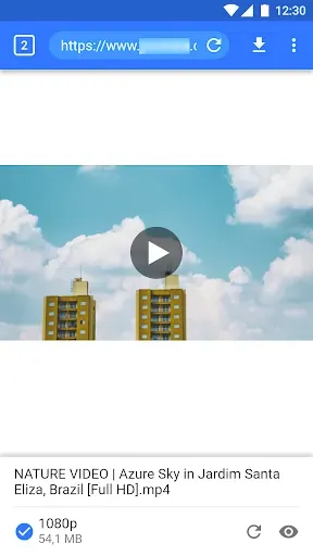 Скриншот 2 — мастер видео загрузчик