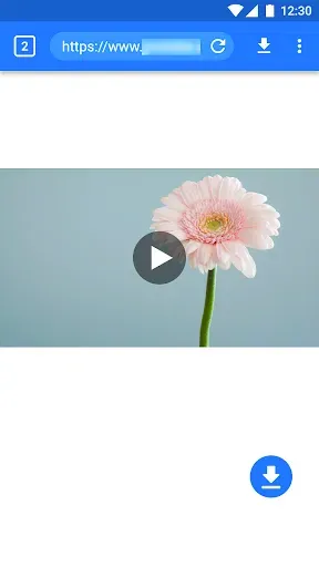 Скриншот 4 — мастер видео загрузчик