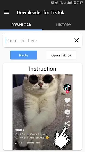 Скриншот 1 — Скачать из Тик Ток видео