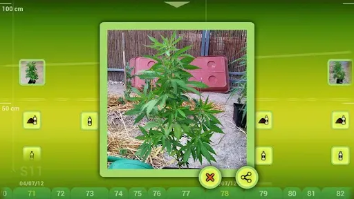 Скриншот 4 — myGrow