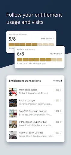 Скриншот 4 — Visa Airport Companion