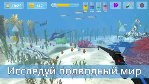 Скриншот 8 — Охота подводная. Дайвинг.