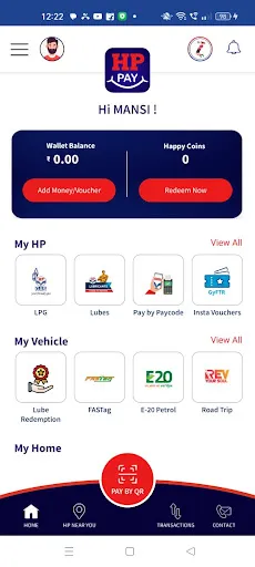 Скриншот 2 — HP PAY