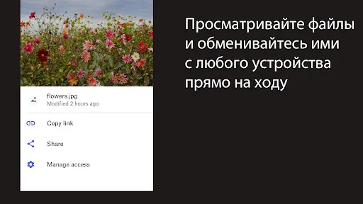 Скриншот 2 — Dropbox: Облачное хранилище