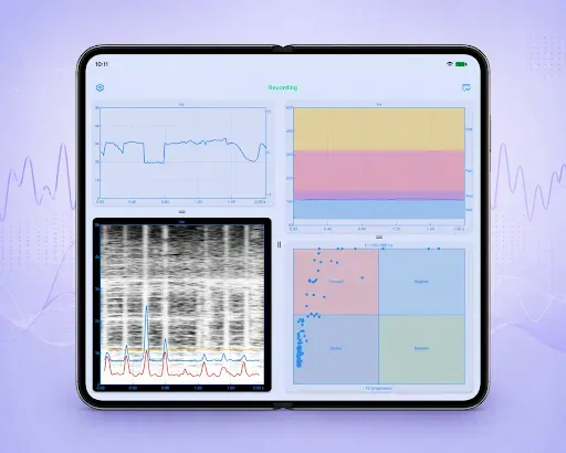 Скриншот 6 — Voice Analyzer