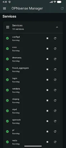 Скриншот 4 — OPNsense Manager