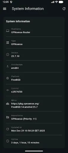 Скриншот 5 — OPNsense Manager
