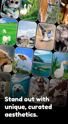 Скриншот 3 — 3D&Live Wallpaper-launcher