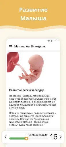 Скриншот 2 — Календарь беременности