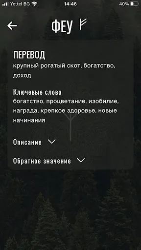 Скриншот 8 — Рунический путь