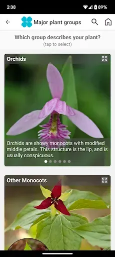 Скриншот 2 — FloraQuest: Carolinas, Georgia