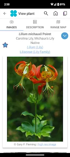 Скриншот 3 — FloraQuest: Carolinas, Georgia