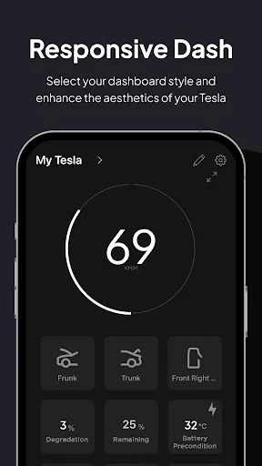Скриншот 1 — S3XY Gadgets for Tesla