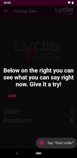Скриншот 2 — LYDIA Voice Demo