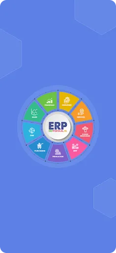 Скриншот 1 — ERP Portaal