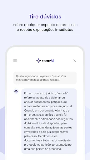 Скриншот 4 — Consultar Processo - Escavador