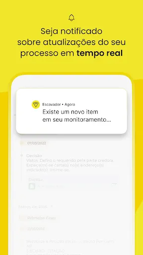 Скриншот 6 — Consultar Processo - Escavador