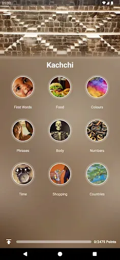 Скриншот 1 — Learn Kachchi