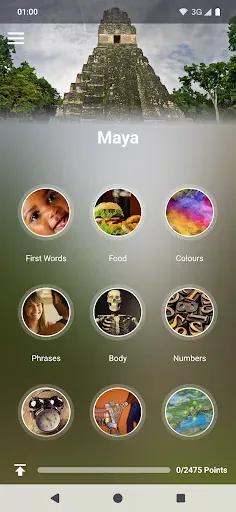 Скриншот 1 — Learn Maya