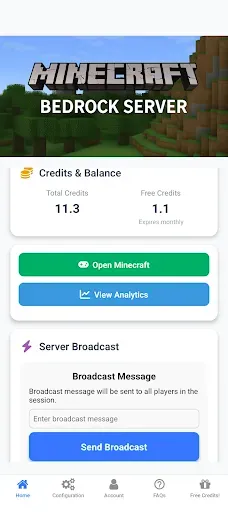 Скриншот 1 — Dedicated Minecraft Server