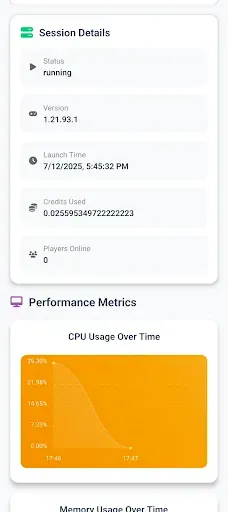 Скриншот 4 — Dedicated Minecraft Server