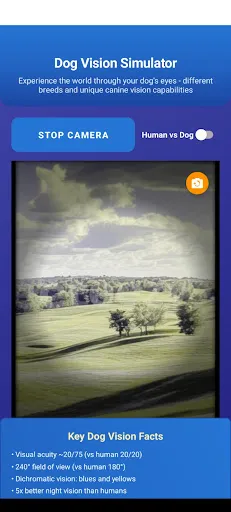 Скриншот 1 — Dog Vision: See Like Your Dog