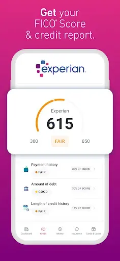 Скриншот 2 — Experian®