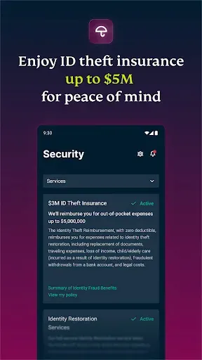 Скриншот 5 — Identity Defender - ExpressVPN