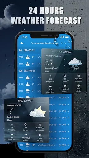 Скриншот 2 — Weather Forecast Professor