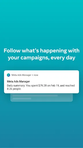 Скриншот 7 — Meta Ads Manager