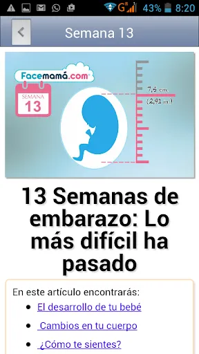 Скриншот 4 — Gestograma - Embarazo Facemamá
