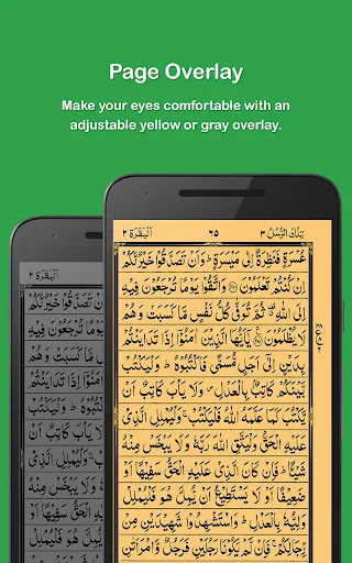 Скриншот 5 — HOLY QURAN - القرآن الكريم