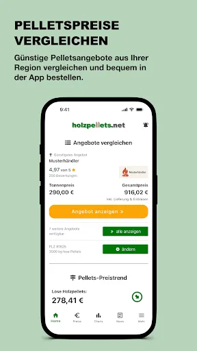 Скриншот 1 — Holzpellets.net