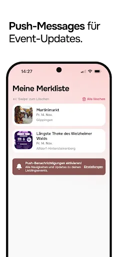 Скриншот 4 — festle.app
