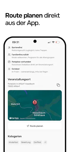 Скриншот 5 — festle.app