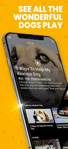 Скриншот 2 — Dog TV
