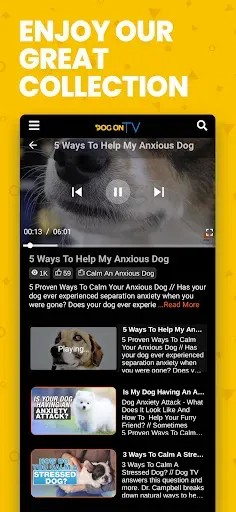 Скриншот 4 — Dog TV